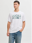 JJEJEFF LOGO TEE SS SN