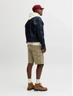 JPSTCOLE FRANK CARGO SHORTS MID SN