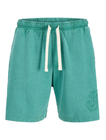 JPSTBILL POP WASHED SWEAT SHORTS SRT