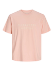 JORSAVONA BRANDING TEE SS CN STYD SS26