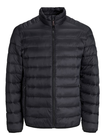 JJEBRADLEY LIGHT PUFFER COLLAR NOOS