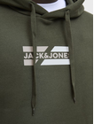 JJCORP GRAPHIC SWEAT HOOD LN