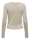 ONLVENICE LIFE LS ONECK PULLOVER KNT