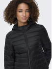 ONLTAHIA LW QUILTED HOOD JKT NOOS OTW