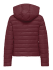 ONLTAHIA LW QUILTED HOOD JKT NOOS OTW
