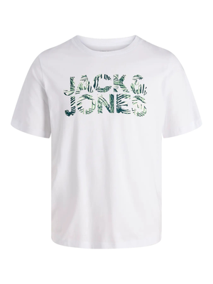JJEJEFF LOGO TEE SS SN