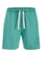 JPSTBILL POP WASHED SWEAT SHORTS SRT